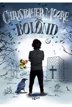 Bolond (e-könyv)