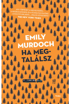 Ha megtalálsz (e-könyv)