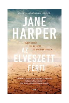 Az elveszett férfi (e-könyv)