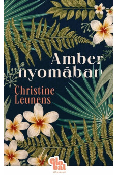 Amber nyomában - Globál