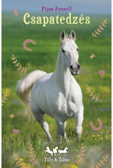 Csapatedzés - Tilly és Táltos 2.