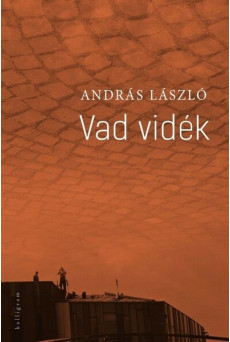 Vad vidék