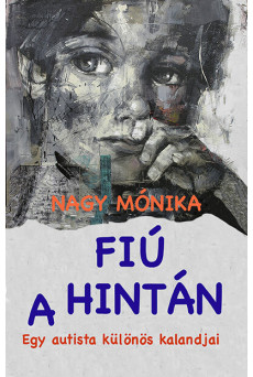 Fiú a hintán - íegy autista különös kalandjai