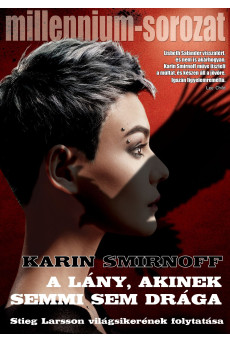 A lány, akinek semmi sem drága - Millennium-sorozat 7. (e-könyv)
