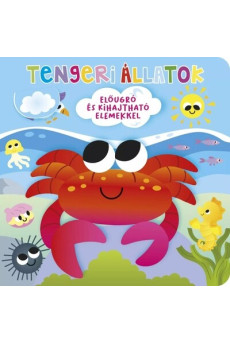 Ki bújt el? - Tengeri állatok