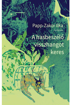 A hasbeszélő visszhangot keres