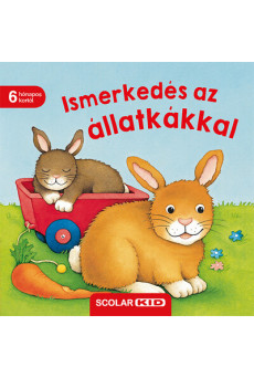 Ismerkedés az állatkákkal