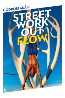 Street workout flow