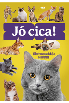 Jó cica! - 15 kedvenc macskafajta bemutatása