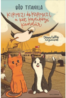 Kirmizi és Karmazi, a két kadiköyi kandúr