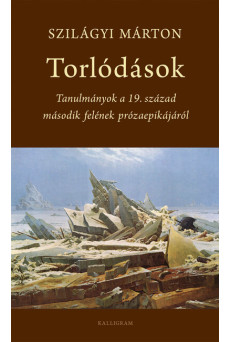Torlódások - Tanulmányok a 19. század második felének prózaepikájáról