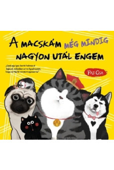 A macskám még mindig nagyon utál engem - Macska és Kutya 3.