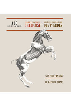 A ló művészeti anatómiája (magyar-angol-német nyelvű)