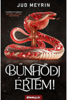 Bűnhődj értem!