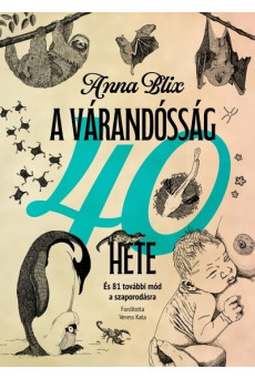 A várandósság 40 hete - És 81 további mód a szaporodásra