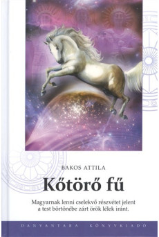 Kőtörő fű /magyarnak lenni cselekvő részvétet jelent a test börtönébe zárt örök lélek iránt