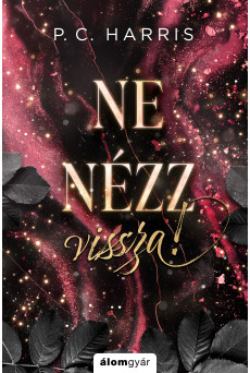 Ne nézz vissza! (e-könyv)