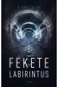 Fekete labirintus