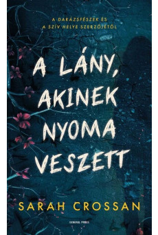A lány, akinek nyoma veszett