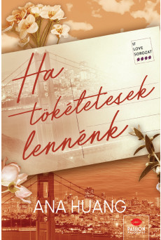 Ha tökéletesek lennénk (e-könyv)