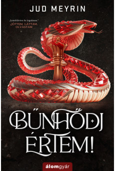 Bűnhődj értem (e-könyv)