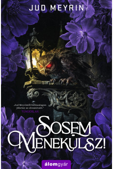 Sosem menekülsz! (e-könyv)