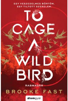 To Cage a wild bird - Rabmadár (e-könyv)