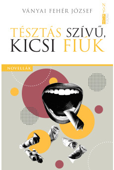 Tésztás szívű, kicsi fiúk (e-könyv)