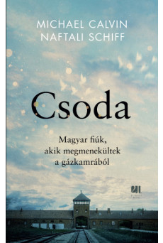 Csoda (e-könyv)