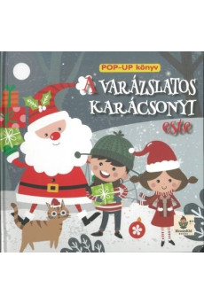 Varázslatos karácsonyi este - Pop-Up könyv §K