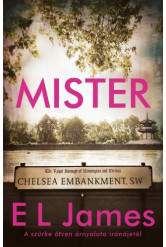 Mister (e-könyv)