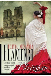 Flamenco Párizsban