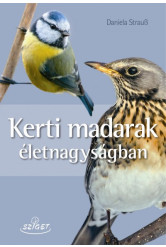 Kerti madarak életnagyságban
