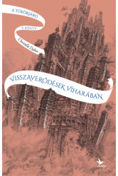 Visszaverődések viharában