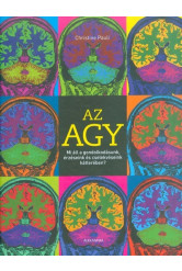 Az agy
