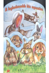 A legkedvesebb kis nyuszim /Leporelló