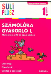 Számolóka gyakorló 1. - Műveletek a 20-as számkörben /Vidám feladatok számokkal 1. osztály