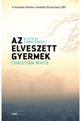 Az elveszett gyermek