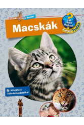Macskák - Profi Tudás