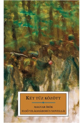 KÉT TŰZ KÖZÖTT /MAGYAR ÍRÓK ELSŐ VILÁGHÁBORÚS NOVELLÁI