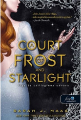 A Court of Frost and Starlight - Fagy és csillagfény udvara /Tüskék és rózsák udvara 4.