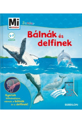 Bálnák és delfinek