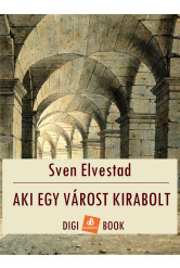 Aki egy várost kirabolt (e-könyv)