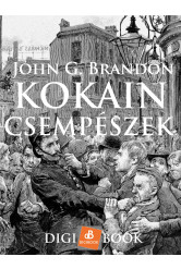 Kokain-csempészek (e-könyv)