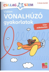 Vonalhúzó gyakorlatok: Írás előkészítés - kék /Csillgaszem