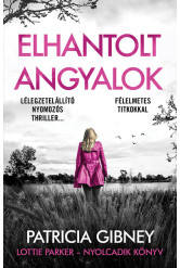Elhantolt angyalok - Lottie Parker 8.