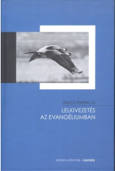 Lelkivezetés az evangéliumban