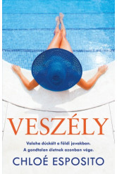 Veszély (e-könyv)