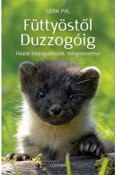 Füttyöstől Duzzogóig - Hazai kisragadozók megmentése (e-könyv)