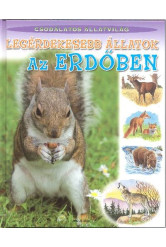 Legérdekesebb állatok az erdőben /Csodálatos állatvilág